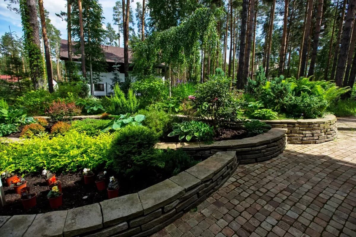 32 сотки — от болота до парка за один сезон