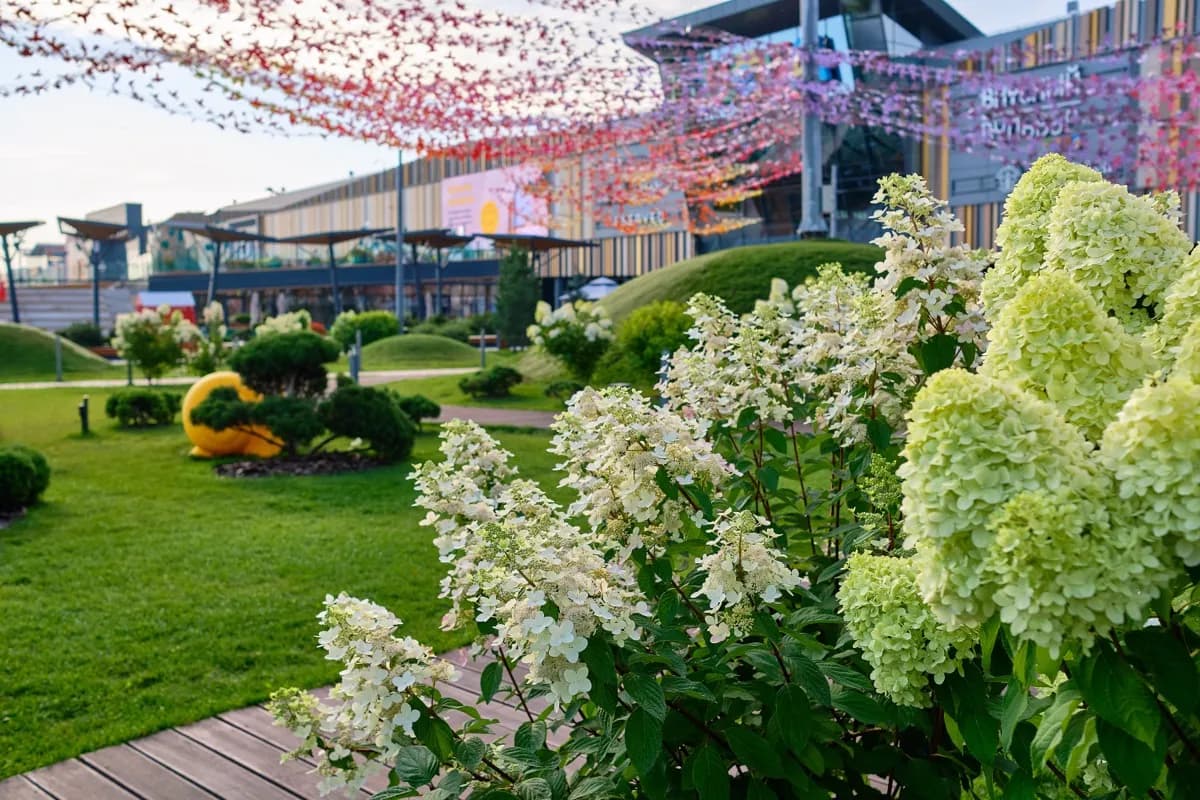 Работаем с организациями. Договор, НДС, сроки в контракте